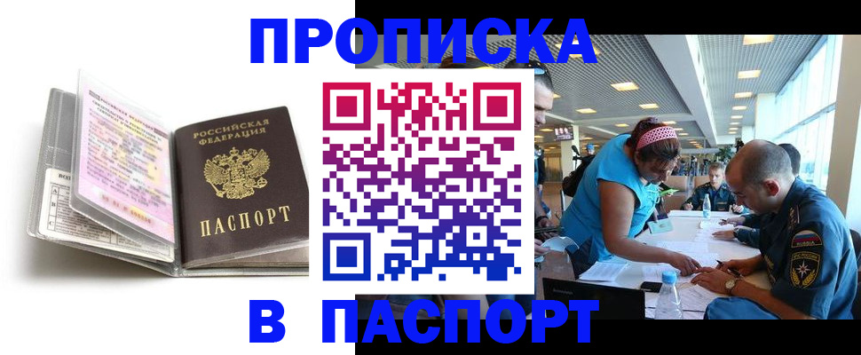 временная регистрация поиск в Камне-на-Оби